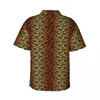 Camisas casuales para hombres Camisa hawaiana con estampado de tigre Playa masculina Animal Rayas negras Manga corta Y2K Diseño callejero Blusas de gran tamaño de moda