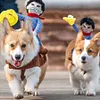 デザイナードッグクロスペットスーツコウボーイライダースタイルジャケット子犬クリスマスドレスアップコスチューム帽子ハロウィーンコスプレコート犬202206