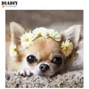 Resimler diadiy tam kare 5d diy elmas boya sevimli köpek nakış chihuahua çapraz dikiş rhinestone mozaik art11881