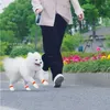 Vêtements pour chiens Chaussures jetables pour animaux de compagnie pour chiens - imperméable à la saleté avec protection de bandage élastique botte extérieure