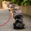 Klassisk hund ryggsäcksele Vest British Style Justerbar utomhuspåse Säkerhetsfordon Led PET Valpen Walking Car Seat Covers195s