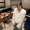 New 2023 Raccoon Autumn/Winter Car Strip Fur Coat For Women's Short V-Neck Long Sleeved Coat, Small Stature 2189 ,