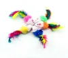 Fausse souris pour animaux de compagnie, jouets pour chat, Mini jouets de jeu avec plumes colorées 5082033