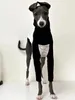 Italian Greyhound High Collar Clothes Printed Stitching Cotton Dog Long Sleeve Whippet Dog Clothes Autumn 240307