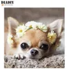 Resimler diadiy tam kare 5d diy elmas resim sevimli köpek nakış chihuahua çapraz dikiş rhinestone mozaik sanat1242s