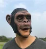 1Pcs Realistic Orangutan Latex Masks Full Face Animal Monkey Mask Scary Mask Halloween Party Cosplay Prop Masquerade Fancy Dress Y6846994