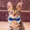 Hundkläder Tuxedo Collar Cat Bedårande valpkrage för små valpar Justerbar kattunge