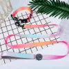 Designer Collar Leash Harness Fashion Gradient Color Pet Products Chain Small Dog Medium Large Fitting Spring Summer272z