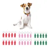 Vêtements de chien 10pcs anti-perte de nom de chat adresse étiquette étiquette baril tube de stockage étiquettes d'identification pour animaux de compagnie