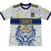 Training Tigres UANL 23 24 Футбольные майки тренировочное поло Науэль Гусман Карлос Родригес Мигель Ортега Энтони Артуро Самир Диего Рейес Эдуардо Терсеро Хесус Ангуло