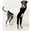 Italian Greyhound High Collar Clothes Printed Stitching Cotton Dog Long Sleeve Whippet Dog Clothes Autumn 240307