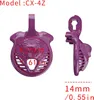 Sissy Chastity Cage for Men Purple Chastity Devices Lock Design Small Chastity Cage Male Penis Cage Cock Cage BDSM Toys for Couples Sex (Purple WX-4)