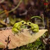 Coleção diária micro mini animais jardim estatuetas em miniatura sapo na folha animal figura de ação brinquedos ornamento acessórios c190298u