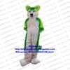 Kostiumy maskotki zielone biały futrzany futrzany futrzany wilk lis husky pies fursuit alaskan Malamute Mascot Costume Adult Allen Piękny aktywność studencka ZX668
