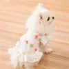 Robe princesse en dentelle à fleurs, vêtements de printemps et d'été pour petite fête, jupe pour chien, chiot, Costume pour animaux de compagnie, tenues LJ2009232447