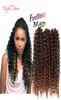 PRODUITS D'EXTENSIONS DE CHEVEUX SYNTHÉTIQUES vague profonde 3pcpack Bouncy Curl 10 pouces crochet tresses cheveux 3X tresses Savana bohème MARLEY BRAI8349333