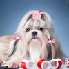 Abbigliamento per cani Archi per toelettatura per cani Elastici per capelli Accessori per ragazza Yorkie Elastico multicolore