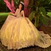 Robes de Quinceanera à paillettes populaires, avec des Appliques de fleurs en cœur, robe de bal de 15 ans, robe de bal à perles, 2024