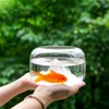 Creative Transparent Glass Fish Bowl Snow Mountain Tanks Desktop Micro Landscape Jar Aquariums Pet Supplies Home Decor 240226