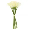 Kadınlar için Hediyeler 18x Yapay Calla Lily Çiçekler Tek Uzun Kök Buket Gerçek Ev Dekoru Colorcreamy Y21129217p