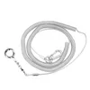 Other Bird Supplies Alloy Leg Ring Flexible Chain Belt Anti Bite Plastic Wire Rope Parrot Outdoor Flight Training298I