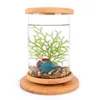 1pcs Glass Betta Fish Tank Bamboo Base Mini Fish Tank Decoration Accessories Rotate Decoration Fish Bowl Aquarium Accessories Y2003290