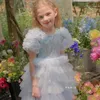 Abiti da ragazza di fiori principessa sequestrati per il bambino con percorso di nozze abito da ballo di tulle gonfio per bambini abiti da ballo multistrato