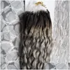 ループマイクロリングヘアエクステンションKinky Curly Human 100 Remy 100g Links Sier Grey8466338ドロップ配信製品DHD35