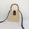 2024新しいInstagram Grass Woven Bag Seaside Vacate Handheld One Shourdled Dual Use Beach Frame Small 240312