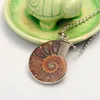 Ammonite Fossiles Collier Argent Ammonite Tourbillon Collier Escargot Amonite Bijoux Fossiles Bijoux Bohemian1247K