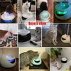 Fonte a beber animais de estimação tigelas cães dispensador de água para gatos usb elétrico luminoso gato automático founta feeders240v