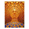 Trippy Alex Grey Painting Poster Decorazioni per la casa Materiale di Poppaper incorniciato o senza cornice316A