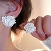 Boucles d'oreilles Camellia Sinensis, 2 pièces, élégantes, grand tempérament brillant, polyvalentes pour femmes, accessoires bijoux de mariage