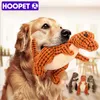 Hoopet Dog Toy Sound Teddy Puppies Resistant to Biting Molar Interactive Pet Toys LJ2010282575