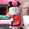 Engraçado chinês princesa cosplay roupas gatos traje de halloween para cães terno de natal roupas de gato roupa de cachorro pet apparel2384