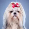 Abbigliamento per cani Archi per toelettatura per cani Elastici per capelli Accessori per ragazza Yorkie Elastico multicolore