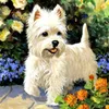 Full Square Diamond 5D DIY Diamond Painting Pet dog Embroidery Cross Stitch Rhinestone Mosaic Painting Decor Gift289v