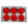 6PCs Box Preserved Fresh Rose Flower Heads Class B 5-6CM Roses Dried Flower Handmade DIY Eternal Flower Arrangement Y0104231Y