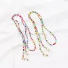 Color Mixed Rice Bead Eyeglasses Chains Plastic Beading Eyewear Sunglasses Chain Anti Drop Mask Links Wholesale