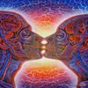 Poster 32 x 24 17 x 13 Trippy Alex Grey Wandposter Druck Heimdekoration Wandaufkleber Poster Aufkleber – 006276D