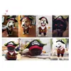 Cat Costumes Pet Costume Pirate Dog and Clothes Passar Kläder för katter Party Dress Up Halloween Cosplay HAT224J