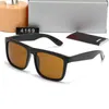 2024 Lunettes de soleil Cats 4169 Ray Marque Top Hommes Femmes Rétro Qualité Lunettes de soleil Monture en nylon G15 Lentilles Forfaits originaux Cat Design raies ban DD322 6XXO