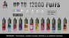 2024 Europe Hot Selling Sidia puff 12000 puffs 20ml prefilled Disposable Vape E-cigarette RGB light 11 colors mesh coil vape pen vapor kit puff 12k