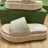 Slipare Designer Slipper Wedge Heel Slides Sandaler Luxury Sandal Beach Shoes Beige Blue Canvas SummerH240312