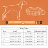 Collare per cani ricaricabile USB LED per animali domestici Lampeggiante luminoso di sicurezza Accendi collare per cani in nylon Collana per animali domestici anti-smarrimento Collari per cuccioli284Z