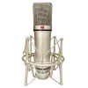 Mikrofonlar Tüm Metal Kondenser Mikrofon Kiti Stand Stand Pop Filtre Metal Şok Montajı Profesyonel Kayıt Podcast için Mikrofon