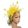 Geizige Krempe Hüte Fedoras Feder Mesh Frauen Bowknot Tag Haarschmuck Bankett Fascinator Stirnband Geschenk Hochzeit Braut Cocktail274O