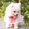 Sweet Dog Harness Beautiful Lace Cat Leash Bow Knot Chest Strap Collar Pet Supplies Accessories Collars & Leashes296L