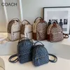 Het europeisk och amerikansk designer väska fabrik online grossist detaljhandel axel för kvinnor ny sommar mode mini axel koreansk version enkel stilig resväska