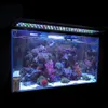 30 40 60 cm LED-Aquariumbeleuchtung, hochwertige Aquarium-Lichtlampe mit ausziehbaren Halterungen, LEDs, passend für Aquariumdekorationen Y20092287P